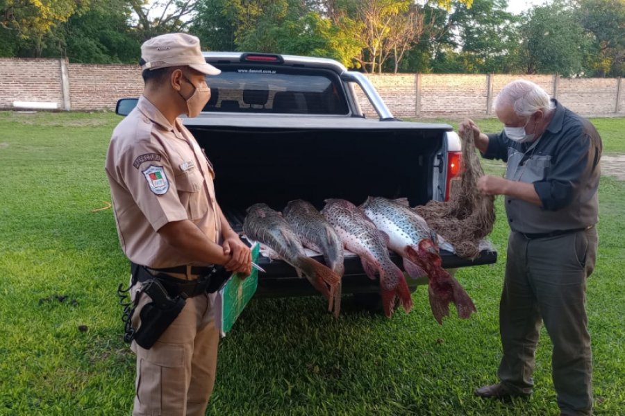 Interceptan a depredadores con surubíes de gran porte en el río Paraná