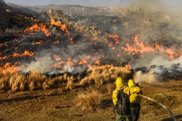 Intendentes correntinos pidieron a Nación recibir ayuda directa por los incendios