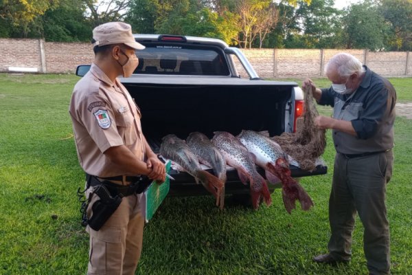 Interceptan a depredadores con surubíes de gran porte en el río Paraná