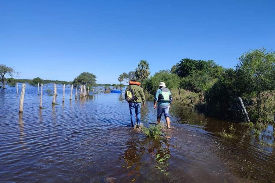 Un mes después de arrasadores incendios, la provincia de Corrientes sufre inundaciones