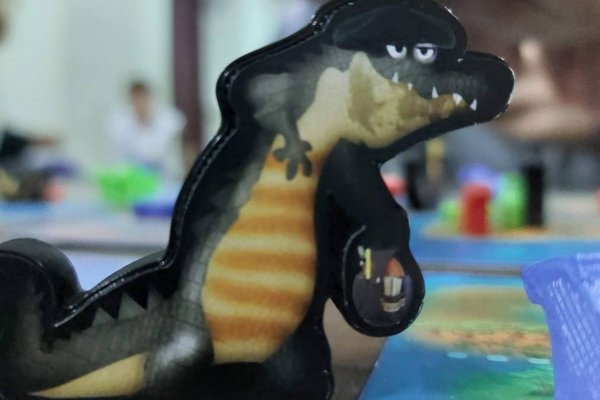 Emprendimiento: Diseñador creó juegos de mesa inspirados en el Iberá