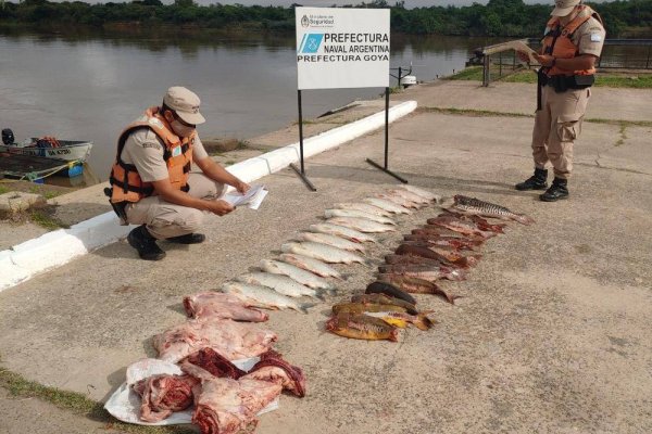 En una embarcación incautaron carne de carpincho y múltiples pescados