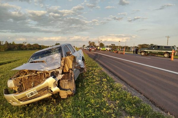 Ruta 12: Camioneta atropelló a tres caballos sueltos