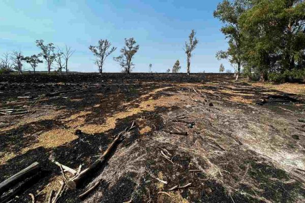 Lo que el fuego dejó en Corrientes