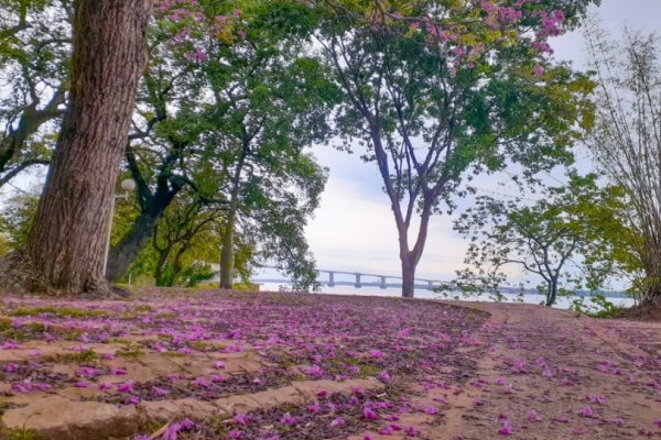 Anticipan un viernes fresco y con lluvias en Corrientes