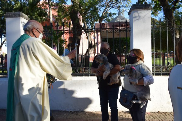 Habrá bendición de mascotas y desfile de canes por su día