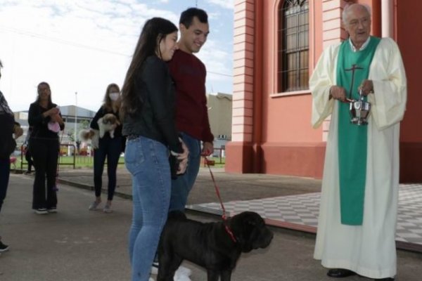 Las mascotas fueron bendecidas en su día en La Cruz de los Milagros