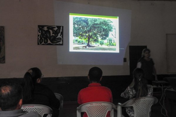 Capacitaron sobre arbolado urbano en localidades del interior de Corrientes