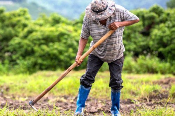 El RENATRE aumentó más de un 80% la Prestación por Desempleo para trabajadores