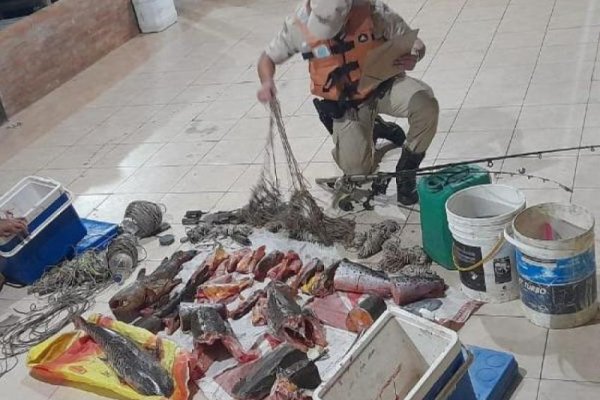 Goya: Sorprenden a pescador inescrupuloso en plena veda