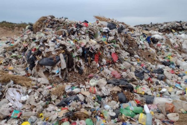 Conmoción en Corrientes por el hallazgo de un feto en un basural