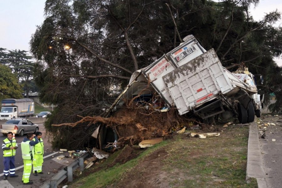 Impactante choque: Un camión atravesó el guardarraíl y derribó un árbol