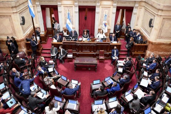 El Senado debate hoy el proyecto para pagarle al FMI con dinero fugado