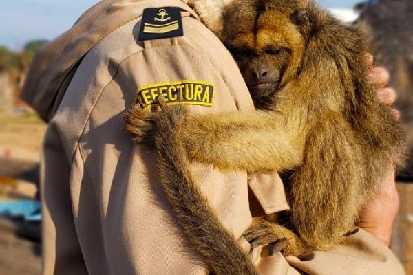 Un abrazo especial en una reserva natural correntina