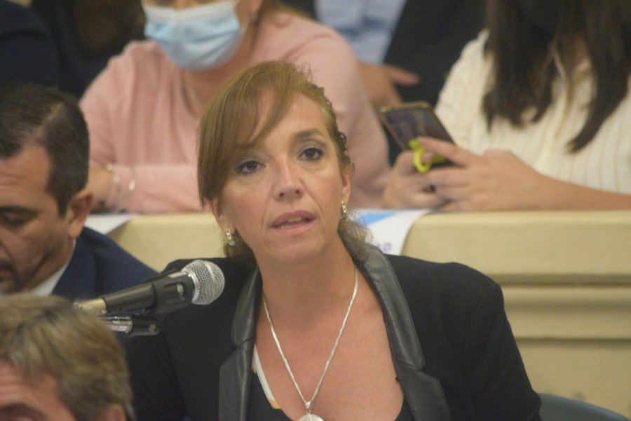 La diputada correntina Mancini participó del encuentro nacional de “Legislaturas Conectadas”