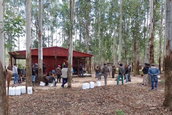 Gendarmes rescatan a 73 víctimas de explotación laboral