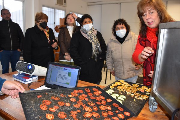  Se realizó un taller práctico de deshidratados de la cadena frutihortícola