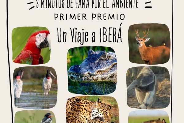 Un viaje a Iberá será el primer premio del concurso audiovisual: “Tres minutos de fama por el Ambiente”