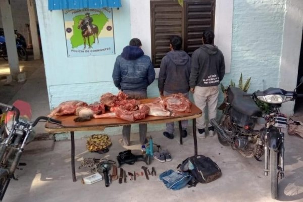 Detuvieron a tres cazadores furtivos y secuestraron cortes cárnicos de los animales silvestres