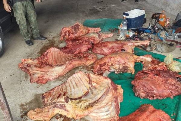 Incautaron carne no apto para el consumo humano y las cuales se trataría de una faena clandestina