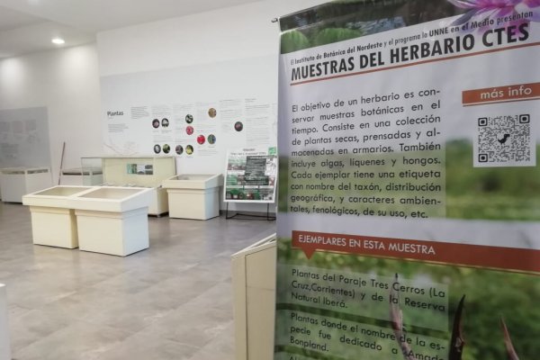 Se habilitó la muestra del “Herbario Corrientes” en el museo Bonpland