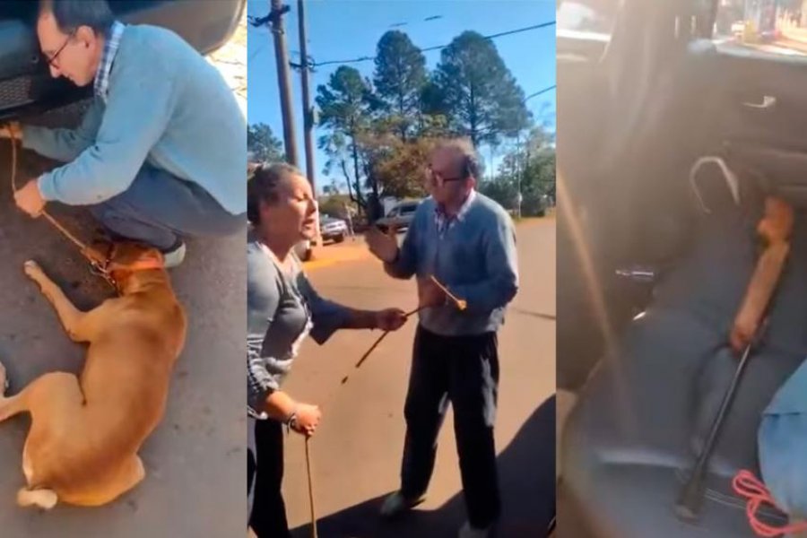 Un hombre arrastró a un perro con su camioneta y terminó detenido en Misiones