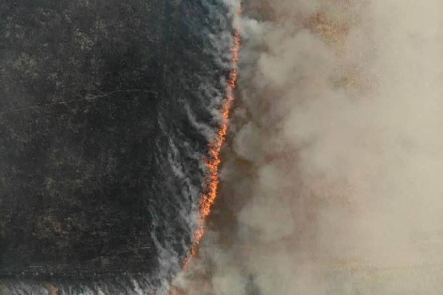 En Corrientes se quemaron más hectáreas durante enero y febrero que en cinco años
