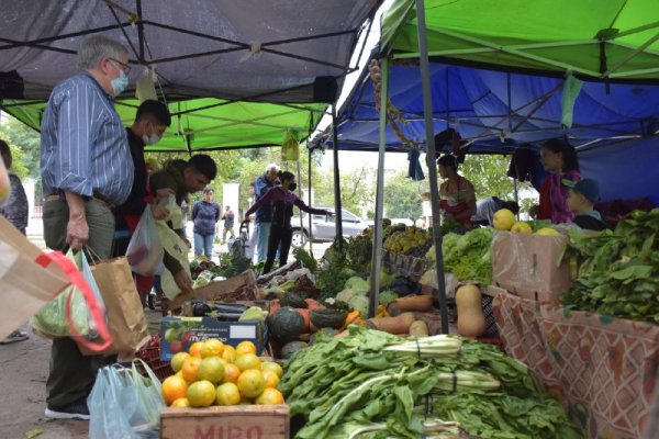 Ferias de la ciudad: Hoy en Plaza Libertad y Plazoleta Los Amigos