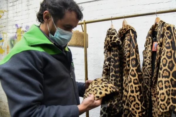 Secuestraron abrigos hechos con pieles de zorro, mono, visón, leopardo, chita y ocelote
