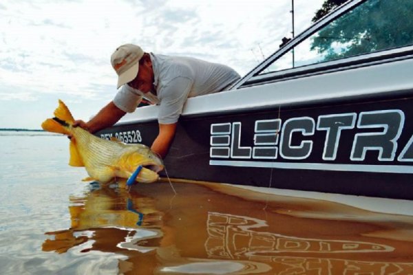 Fuertes críticas por la habilitación de la pesca extractiva en Corrientes