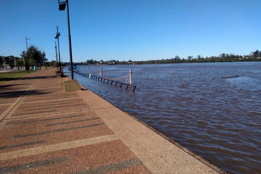Alerta en Corrientes: Anticipan nueva creciente del río Uruguay con valores significantes en los puertos