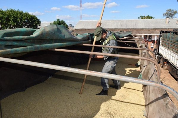 Corrientes: Drama por el destino de soja incautada en procedimientos judiciales