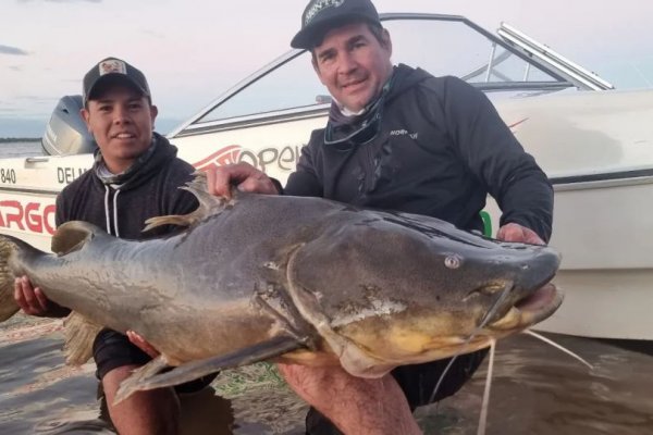 Corrientes: pescan un dinosaurio del río en el río Paraná