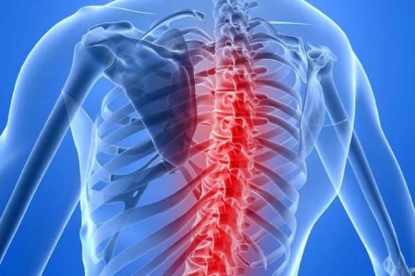 Científicos argentinos probaron con éxito un tratamiento para la Atrofia Muscular Espinal
