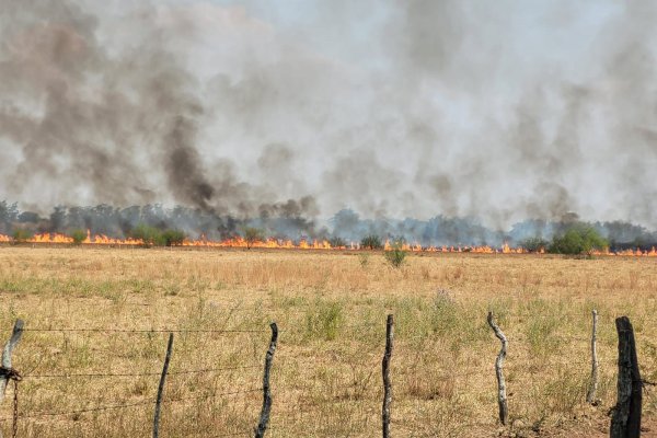 El RENATRE amplió beneficio para aquellos empleadores que se encuentran en zonas de emergencia agropecuaria