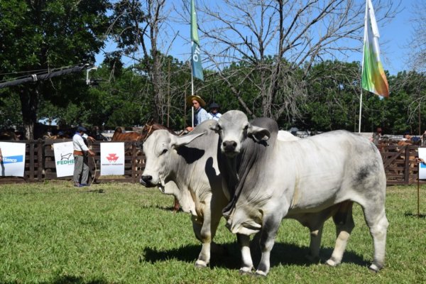 Vuelve la exposición de razas a Riachuelo