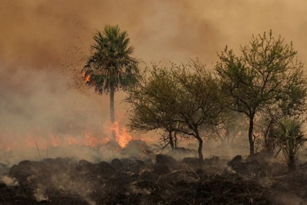 Productores de Corrientes pasaron del drama de la sequía y los incendios a la crisis por la falta de gasoil