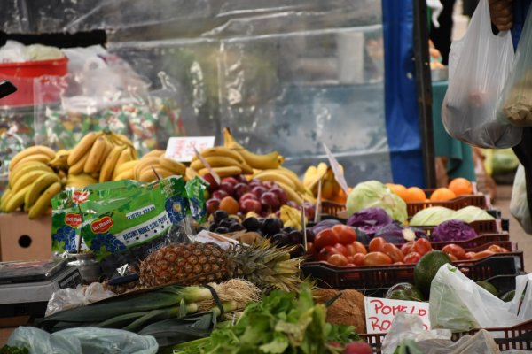 Así será el recorrido de las Ferias de la Ciudad durante la semana entrante
