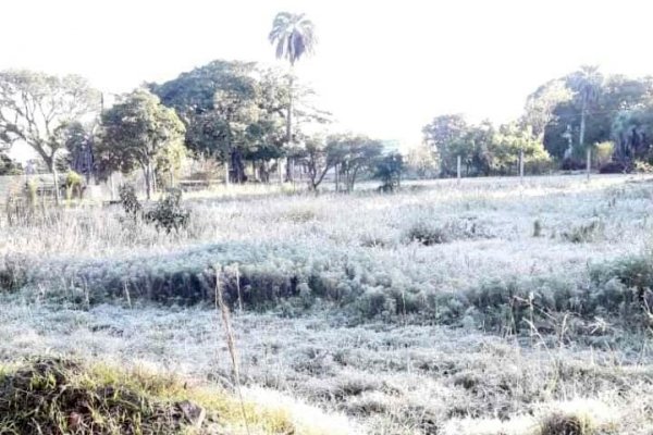 Corrientes: Qué localidad registra menos de 1 grado con heladas