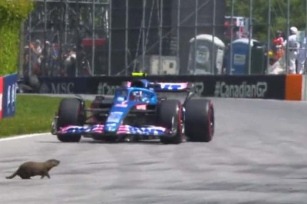 Una visitante muy especial en la pista de Montreal que asustó a los pilotos