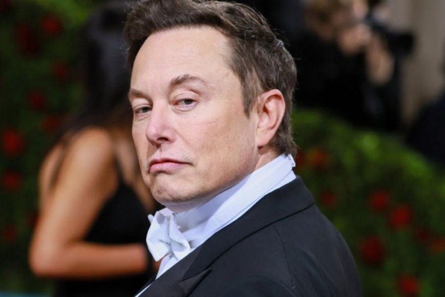 Demandaron a Elon Musk por una presunta estafa piramidal
