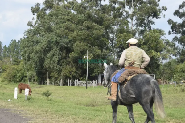 Con sobreprecios y cupos, se agudiza la crisis de gasoil y el malestar del campo