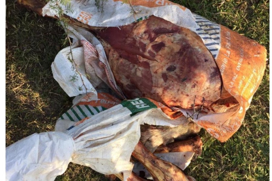 Secuestraron cerca de 200 kg de restos cárnicos en Curuzú Cuatiá