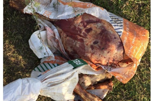 Secuestraron cerca de 200 kg de restos cárnicos en Curuzú Cuatiá