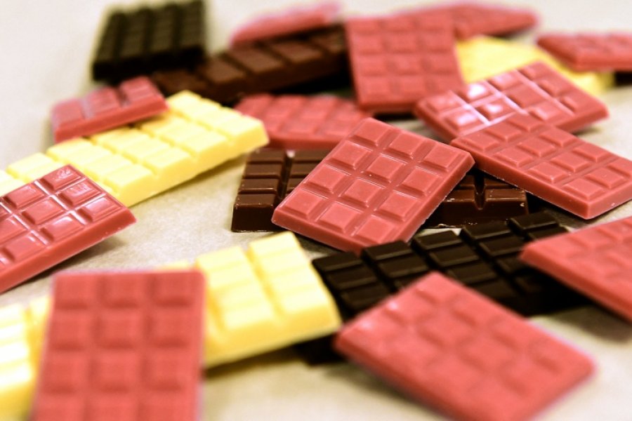Detectaron salmonela en la mayor fábrica belga del gigante del chocolate Barry Callebaut