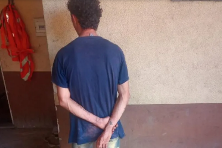 Ladrón detenido cuando huía con escalera al hombro