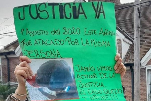 Maltrato animal: Apareció otro caso que involucra al policía detenido en Goya