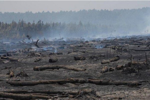 Corrientes emitió una alerta por peligro “alto” de incendios en cuatro ciudades