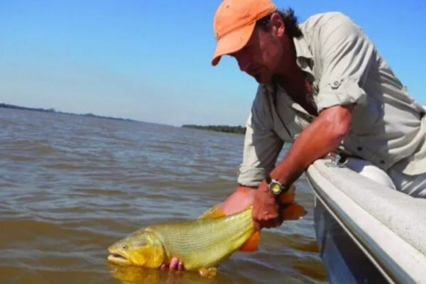 Pescadores extranjeros violaron la veda en el Río Paraná