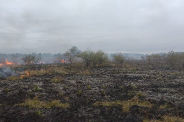 Se registró un importante incendio en campos correntinos